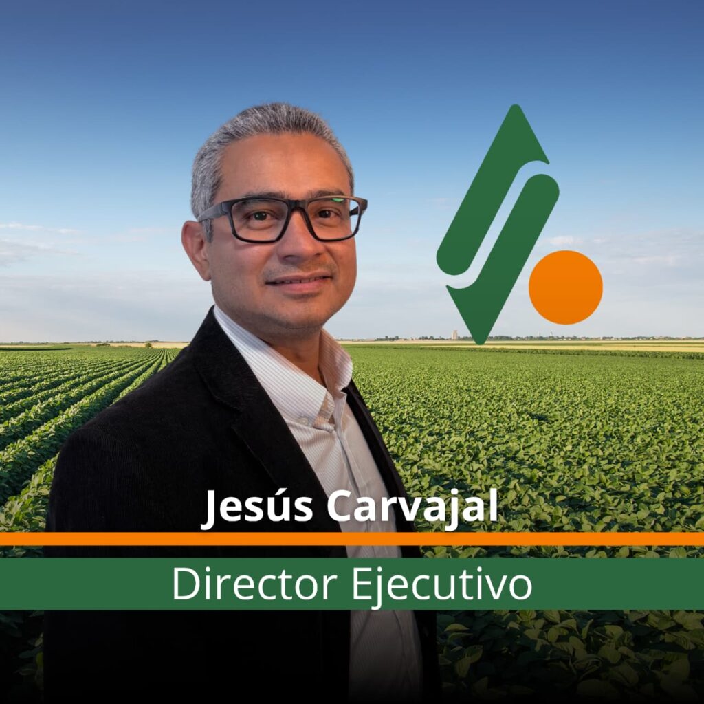 whatsapp image 2025 11 06 at 15.37.42 (1)