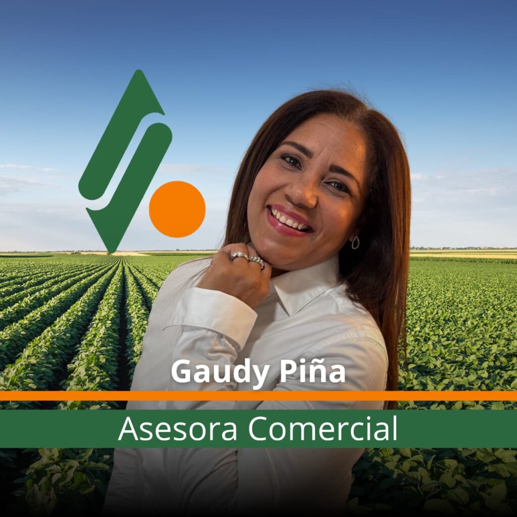 whatsapp image 2025 11 06 at 15.37.42