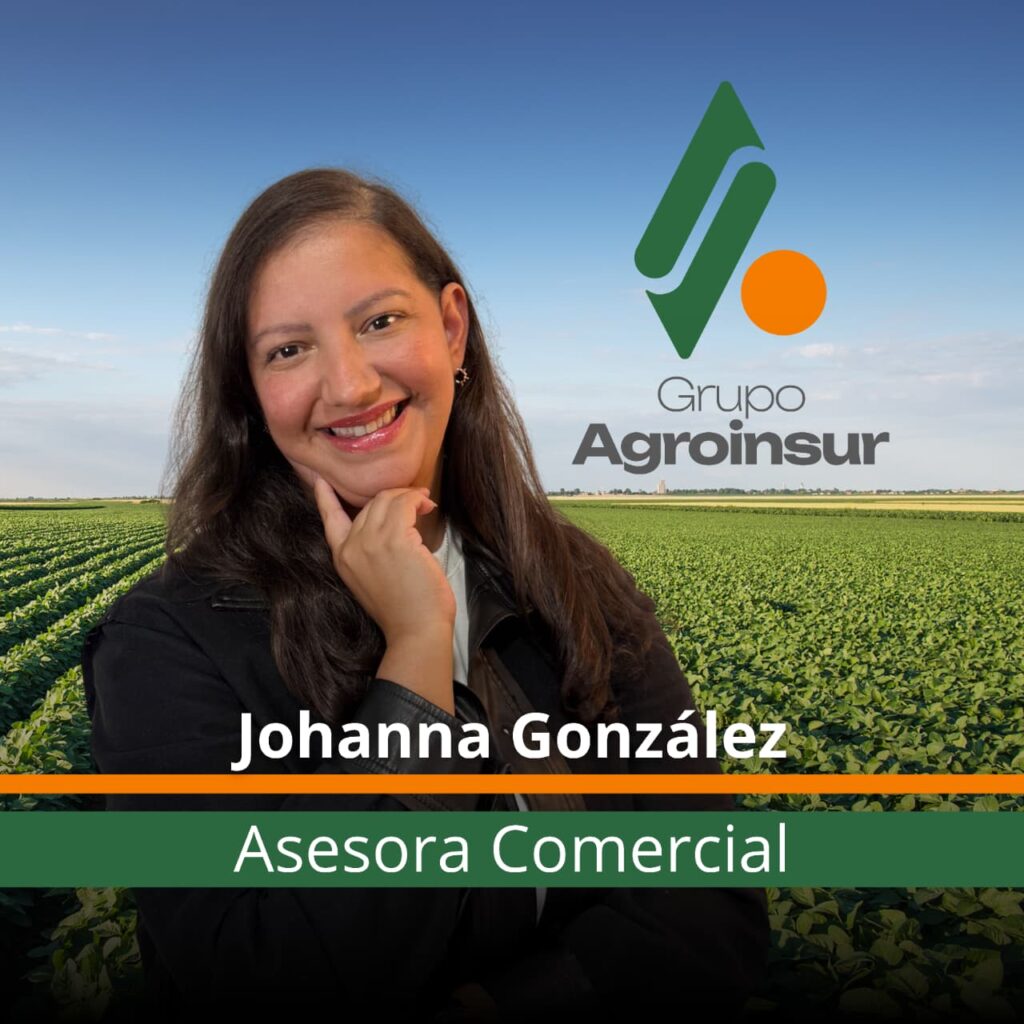 whatsapp image 2025 11 06 at 15.37.42 (2)