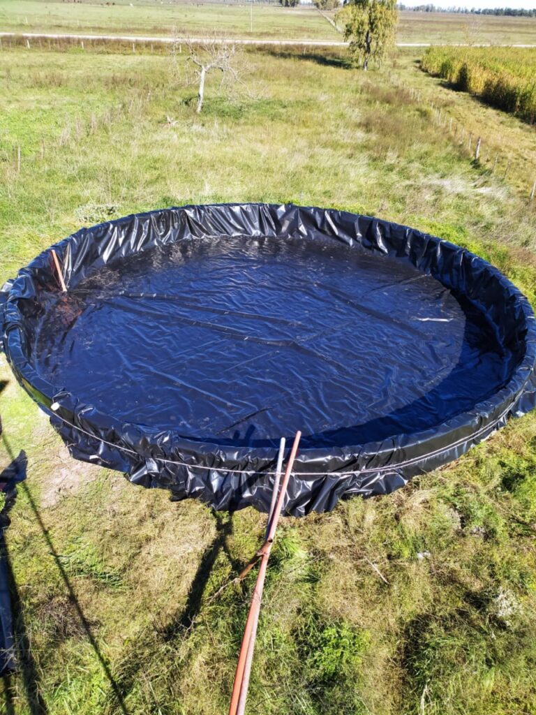 whatsapp image 2025 11 25 at 12.41.56